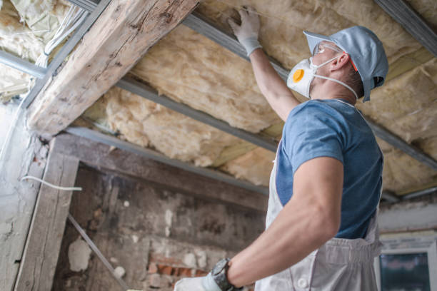 Types of Insulation We Offer in Thompsons Station, TN